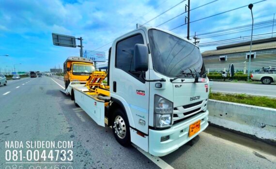 IMG E1241