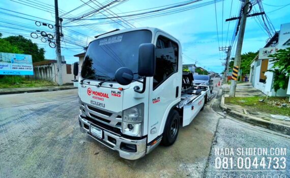 IMG E1353
