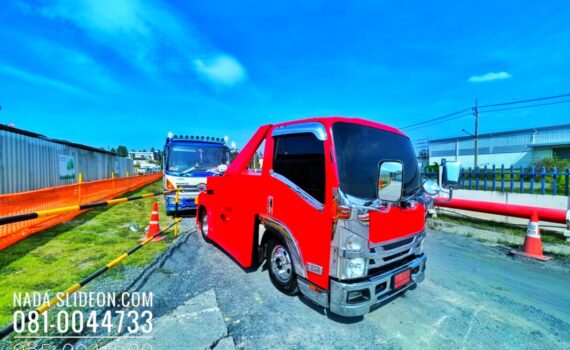 IMG E1755