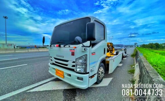 IMG E1784