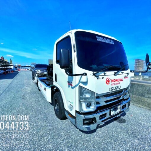 IMG E4225